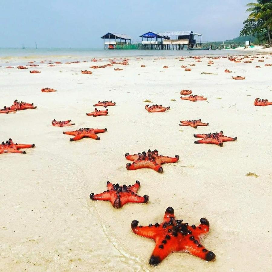 Kim Huong Quang Hotel Phú Quốc-sziget Kültér fotó